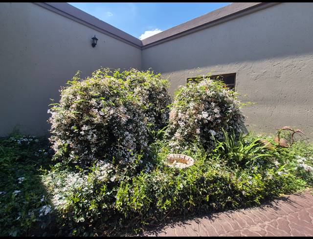 3 BEDROOM HOUSE FOR SALE IN VANDERBIJLPARK SE 2